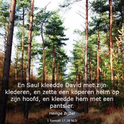 Picture 03 - 1 Samuël 17:38 NLD - En Saul kleedde David met zijn klederen, en zette - Bible Verse Picture