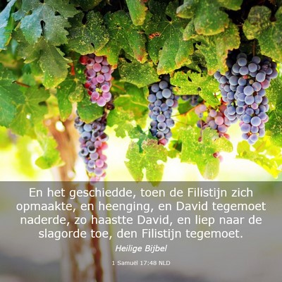 Picture 03 - 1 Samuël 17:48 NLD - En het geschiedde, toen de Filistijn zich - Bible Verse Picture