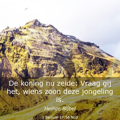 Picture 03 - 1 Samuël 17:56 NLD - De koning nu zeide: Vraag gij het, wiens zoon - Bible Verse Picture