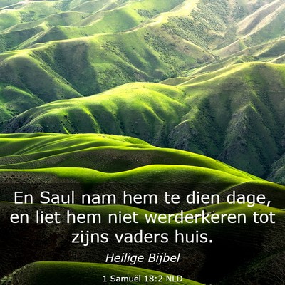 Picture 03 - 1 Samuël 18:2 NLD - En Saul nam hem te dien dage, en liet hem niet - Bible Verse Picture