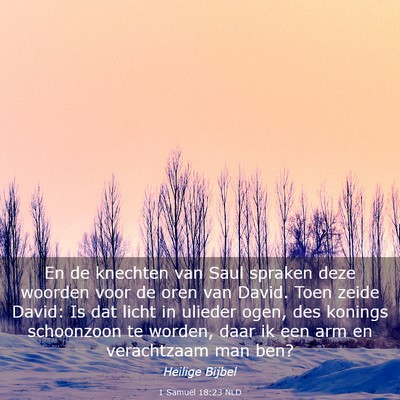 Picture 03 - 1 Samuël 18:23 NLD - En de knechten van Saul spraken deze woorden voor - Bible Verse Picture