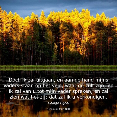 Picture 03 - 1 Samuël 19:3 NLD - Doch ik zal uitgaan, en aan de hand mijns vaders - Bible Verse Picture