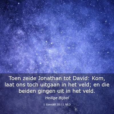Picture 03 - 1 Samuël 20:11 NLD - Toen zeide Jonathan tot David: Kom, laat ons toch - Bible Verse Picture