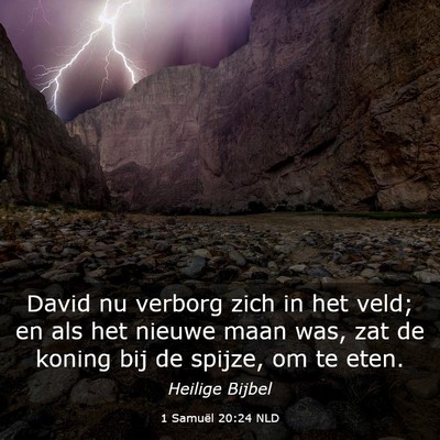 Picture 03 - 1 Samuël 20:24 NLD - David nu verborg zich in het veld; en als het - Bible Verse Picture