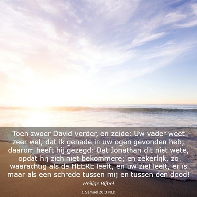 Picture 03 - 1 Samuël 20:3 NLD - Toen zwoer David verder, en zeide: Uw vader weet - Bible Verse Picture