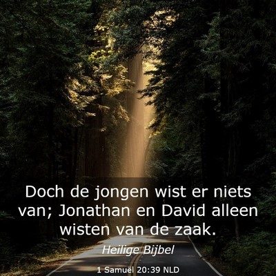 Picture 03 - 1 Samuël 20:39 NLD - Doch de jongen wist er niets van; Jonathan en - Bible Verse Picture