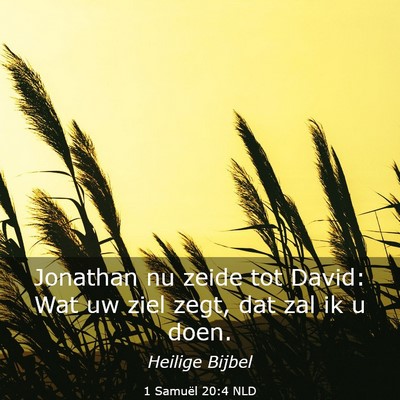 Picture 03 - 1 Samuël 20:4 NLD - Jonathan nu zeide tot David: Wat uw ziel zegt, - Bible Verse Picture