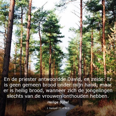 Picture 03 - 1 Samuël 21:4 NLD - En de priester antwoordde David, en zeide: Er is - Bible Verse Picture
