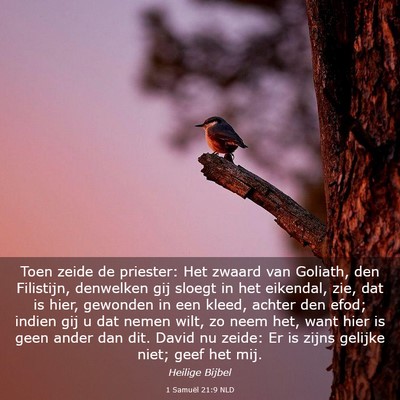 Picture 03 - 1 Samuël 21:9 NLD - Toen zeide de priester: Het zwaard van Goliath, - Bible Verse Picture