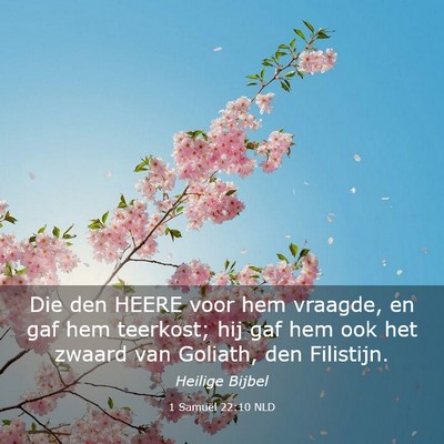 Picture 03 - 1 Samuël 22:10 NLD - Die den HEERE voor hem vraagde, en gaf hem - Bible Verse Picture
