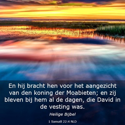 Picture 03 - 1 Samuël 22:4 NLD - En hij bracht hen voor het aangezicht van den - Bible Verse Picture