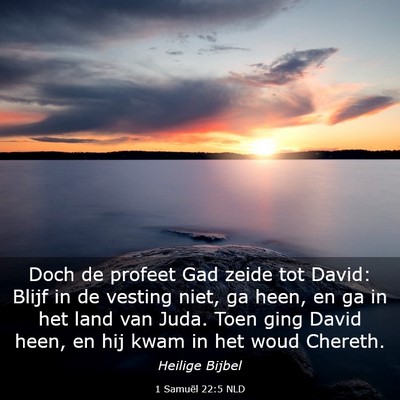 Picture 03 - 1 Samuël 22:5 NLD - Doch de profeet Gad zeide tot David: Blijf in de - Bible Verse Picture