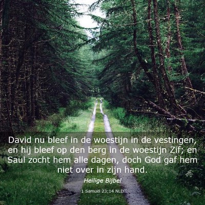 Picture 03 - 1 Samuël 23:14 NLD - David nu bleef in de woestijn in de vestingen, en - Bible Verse Picture