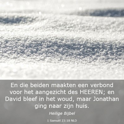 Picture 03 - 1 Samuël 23:18 NLD - En die beiden maakten een verbond voor het - Bible Verse Picture