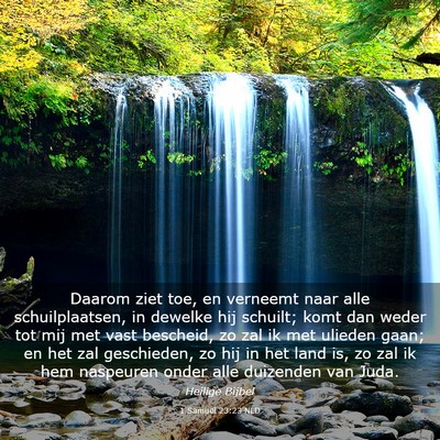 Picture 03 - 1 Samuël 23:23 NLD - Daarom ziet toe, en verneemt naar alle - Bible Verse Picture