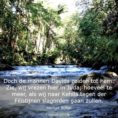Picture 03 - 1 Samuël 23:3 NLD - Doch de mannen Davids zeiden tot hem: Zie, wij - Bible Verse Picture