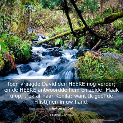 Picture 03 - 1 Samuël 23:4 NLD - Toen vraagde David den HEERE nog verder; en de - Bible Verse Picture