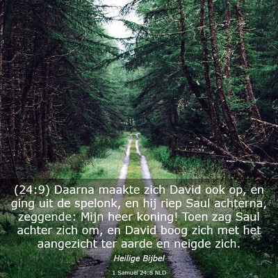 Picture 03 - 1 Samuël 24:8 NLD - (24:9) Daarna maakte zich David ook op, en ging - Bible Verse Picture