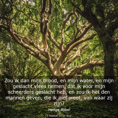 Picture 03 - 1 Samuël 25:11 NLD - Zou ik dan mijn brood, en mijn water, en mijn - Bible Verse Picture