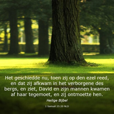 Picture 03 - 1 Samuël 25:20 NLD - Het geschiedde nu, toen zij op den ezel reed, en - Bible Verse Picture