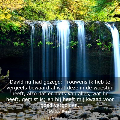 Picture 03 - 1 Samuël 25:21 NLD - David nu had gezegd: Trouwens ik heb te vergeefs - Bible Verse Picture