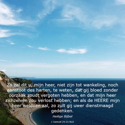 Picture 03 - 1 Samuël 25:31 NLD - Zo zal dit u, mijn heer, niet zijn tot wankeling, - Bible Verse Picture