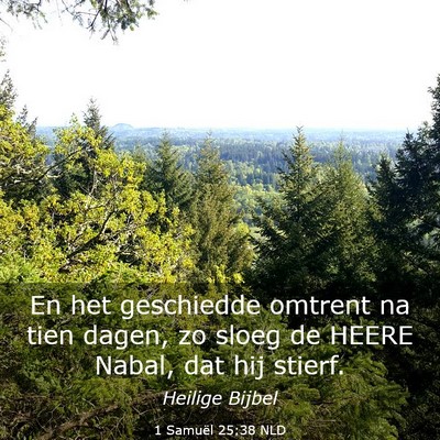 Picture 03 - 1 Samuël 25:38 NLD - En het geschiedde omtrent na tien dagen, zo sloeg - Bible Verse Picture