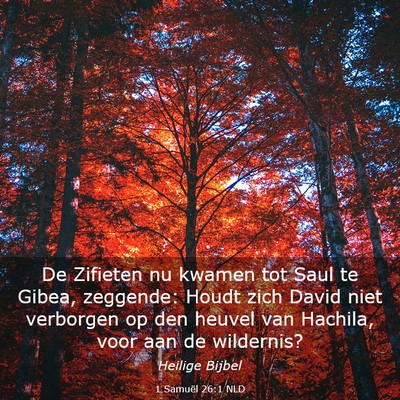 Picture 03 - 1 Samuël 26:1 NLD - De Zifieten nu kwamen tot Saul te Gibea, - Bible Verse Picture