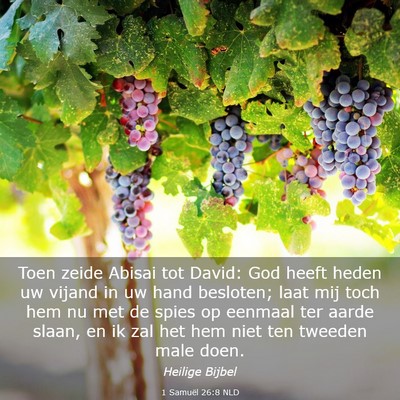 Picture 03 - 1 Samuël 26:8 NLD - Toen zeide Abisai tot David: God heeft heden uw - Bible Verse Picture