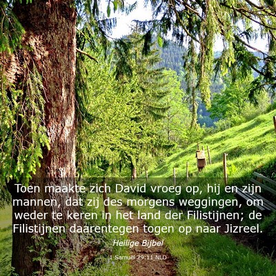 Picture 03 - 1 Samuël 29:11 NLD - Toen maakte zich David vroeg op, hij en zijn - Bible Verse Picture