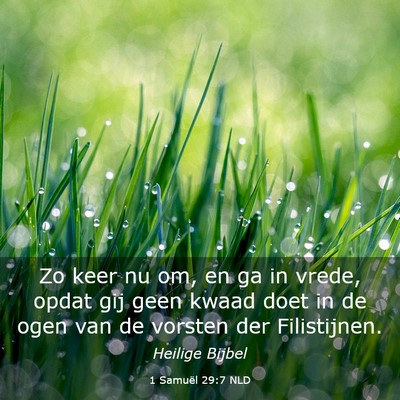 Picture 03 - 1 Samuël 29:7 NLD - Zo keer nu om, en ga in vrede, opdat gij geen - Bible Verse Picture