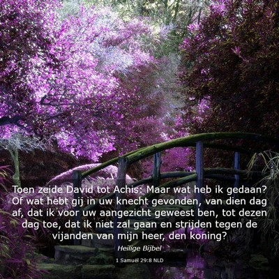 Picture 03 - 1 Samuël 29:8 NLD - Toen zeide David tot Achis: Maar wat heb ik - Bible Verse Picture