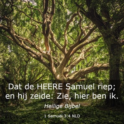 Picture 03 - 1 Samuël 3:4 NLD - Dat de HEERE Samuel riep; en hij zeide: Zie, hier - Bible Verse Picture