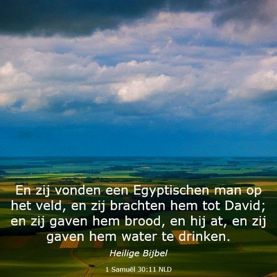 Picture 03 - 1 Samuël 30:11 NLD - En zij vonden een Egyptischen man op het veld, en - Bible Verse Picture
