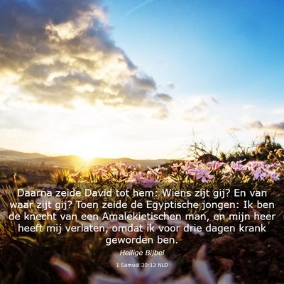 Picture 03 - 1 Samuël 30:13 NLD - Daarna zeide David tot hem: Wiens zijt gij? En - Bible Verse Picture