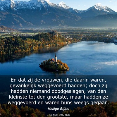 Picture 03 - 1 Samuël 30:2 NLD - En dat zij de vrouwen, die daarin waren, - Bible Verse Picture
