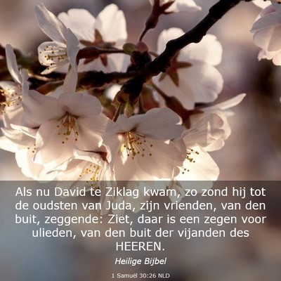 Picture 03 - 1 Samuël 30:26 NLD - Als nu David te Ziklag kwam, zo zond hij tot de - Bible Verse Picture