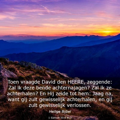 Picture 03 - 1 Samuël 30:8 NLD - Toen vraagde David den HEERE, zeggende: Zal ik - Bible Verse Picture