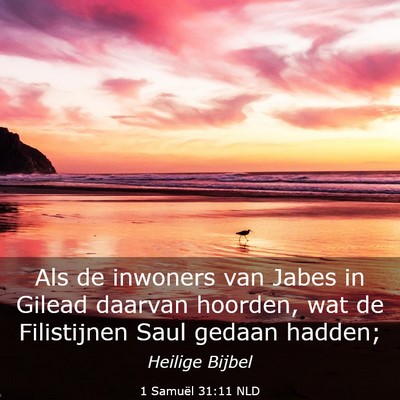 Picture 03 - 1 Samuël 31:11 NLD - Als de inwoners van Jabes in Gilead daarvan - Bible Verse Picture