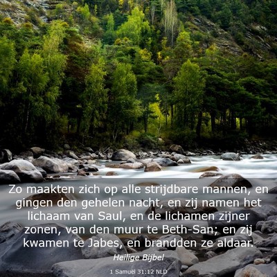 Picture 03 - 1 Samuël 31:12 NLD - Zo maakten zich op alle strijdbare mannen, en - Bible Verse Picture