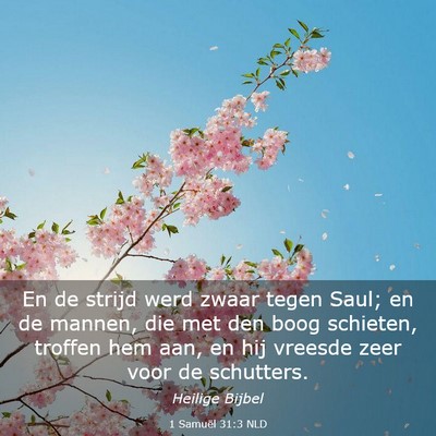 Picture 03 - 1 Samuël 31:3 NLD - En de strijd werd zwaar tegen Saul; en de mannen, - Bible Verse Picture