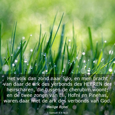 Picture 03 - 1 Samuël 4:4 NLD - Het volk dan zond naar Silo, en men bracht van - Bible Verse Picture
