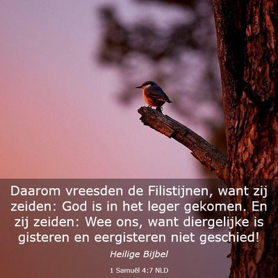 Picture 03 - 1 Samuël 4:7 NLD - Daarom vreesden de Filistijnen, want zij zeiden: - Bible Verse Picture