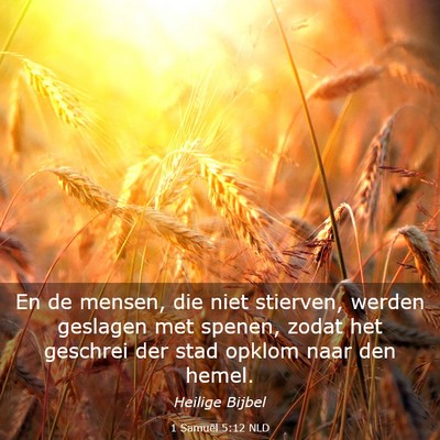 Picture 03 - 1 Samuël 5:12 NLD - En de mensen, die niet stierven, werden geslagen - Bible Verse Picture