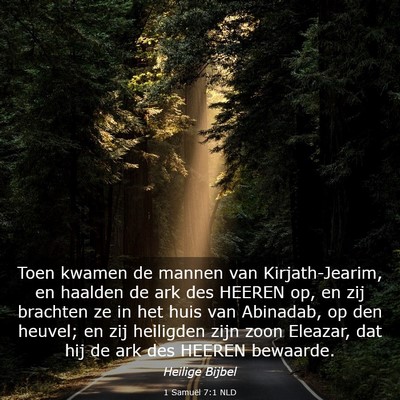 Picture 03 - 1 Samuël 7:1 NLD - Toen kwamen de mannen van Kirjath-Jearim, en - Bible Verse Picture