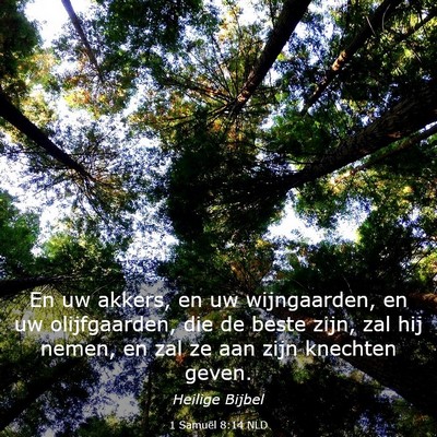 Picture 03 - 1 Samuël 8:14 NLD - En uw akkers, en uw wijngaarden, en uw - Bible Verse Picture