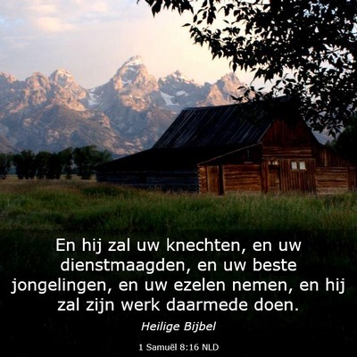 Picture 03 - 1 Samuël 8:16 NLD - En hij zal uw knechten, en uw dienstmaagden, en - Bible Verse Picture