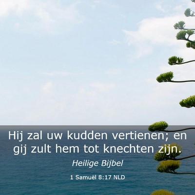 Picture 03 - 1 Samuël 8:17 NLD - Hij zal uw kudden vertienen; en gij zult hem tot - Bible Verse Picture