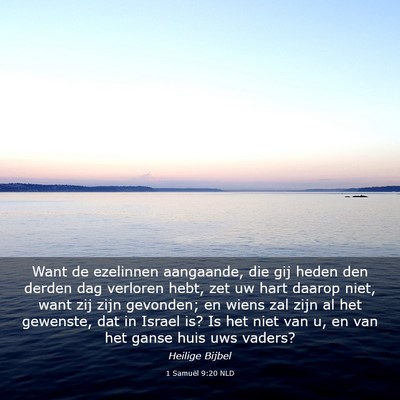 Picture 03 - 1 Samuël 9:20 NLD - Want de ezelinnen aangaande, die gij heden den - Bible Verse Picture