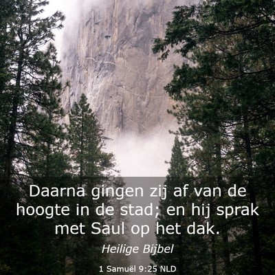 Picture 03 - 1 Samuël 9:25 NLD - Daarna gingen zij af van de hoogte in de stad; en - Bible Verse Picture